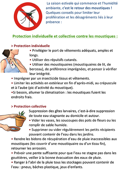 prevention contre les moustiques