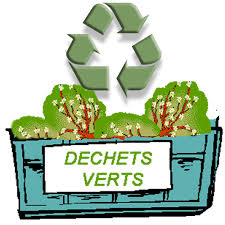 dechets verts