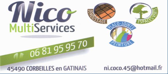 nico services