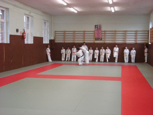 dojo