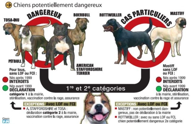 chiens dangereux